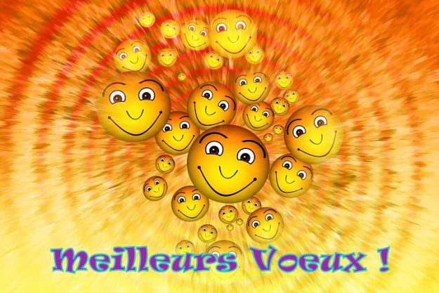 smiley voeux