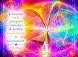l'intuition est la perception immédiate de la vérité